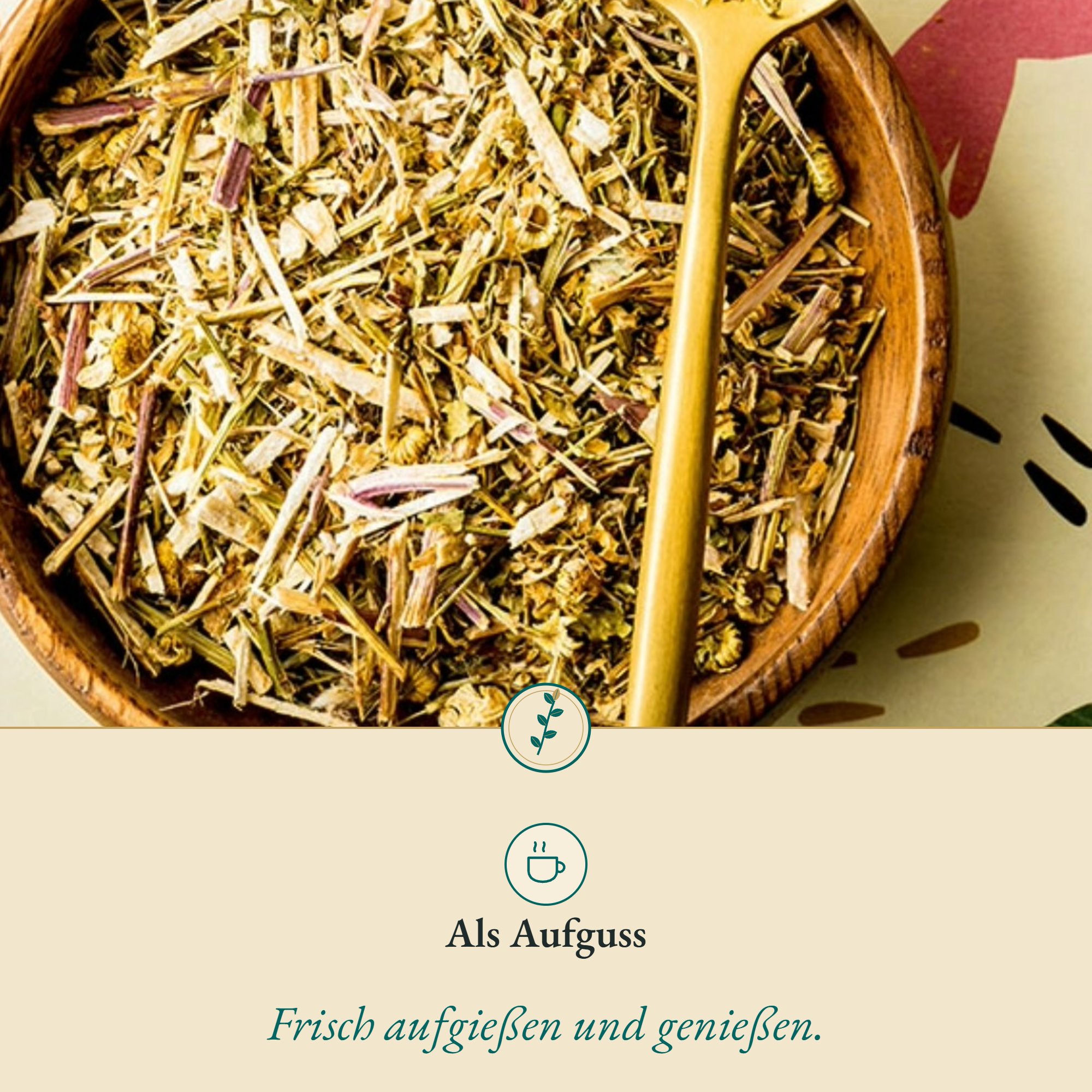 Anwendung Mutterkraut/Chrysanthemenkraut: als Aufguss