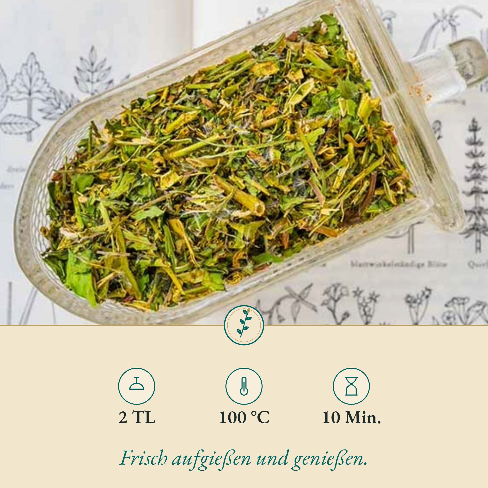 Zubereitung Weidenröschen echtes kleinbl.: 2 TL, 100 °C, 10 Min.