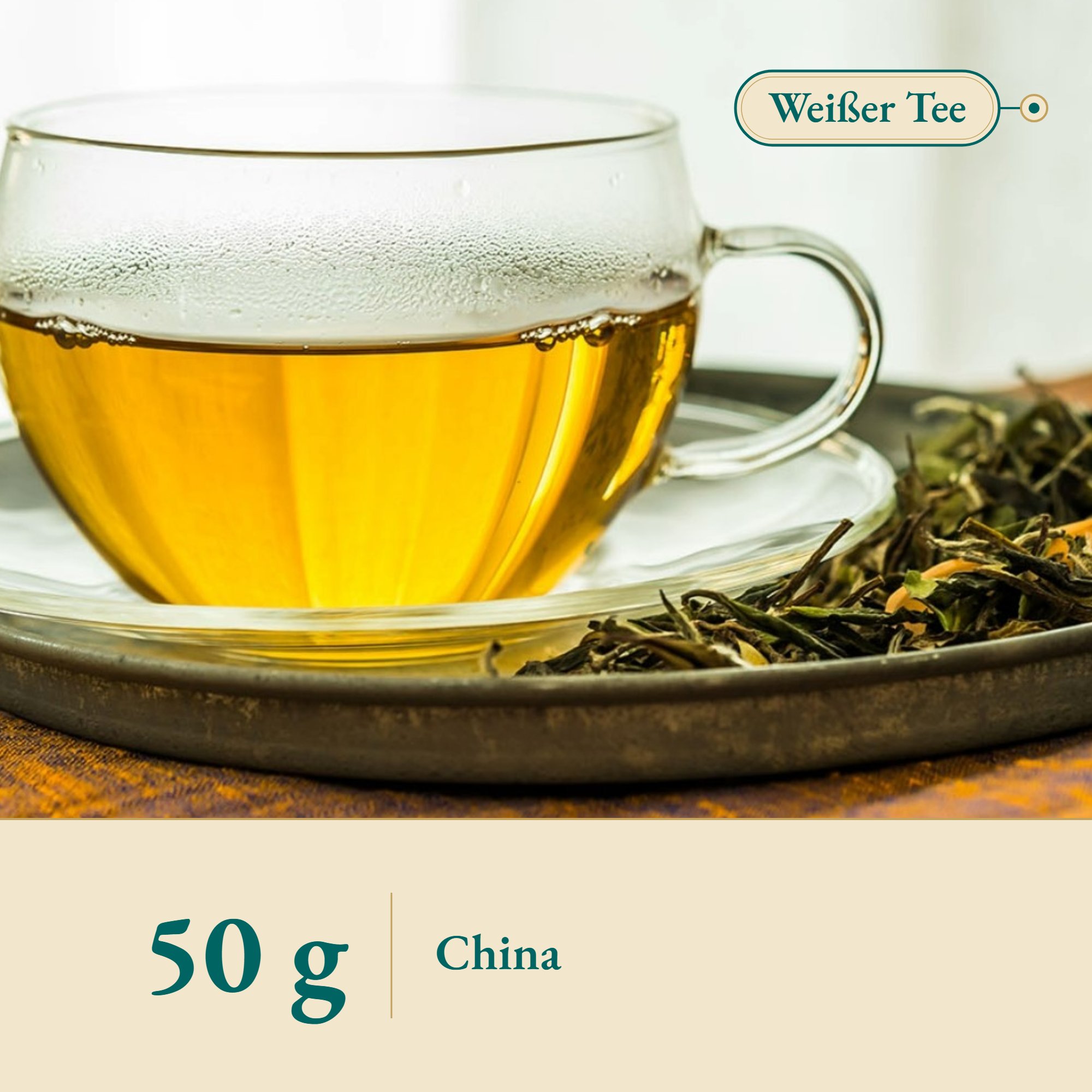 Nahaufnahme Weißer Tee China Pai Mu Tan 1st Grade – Kräuterparadies seit 1887