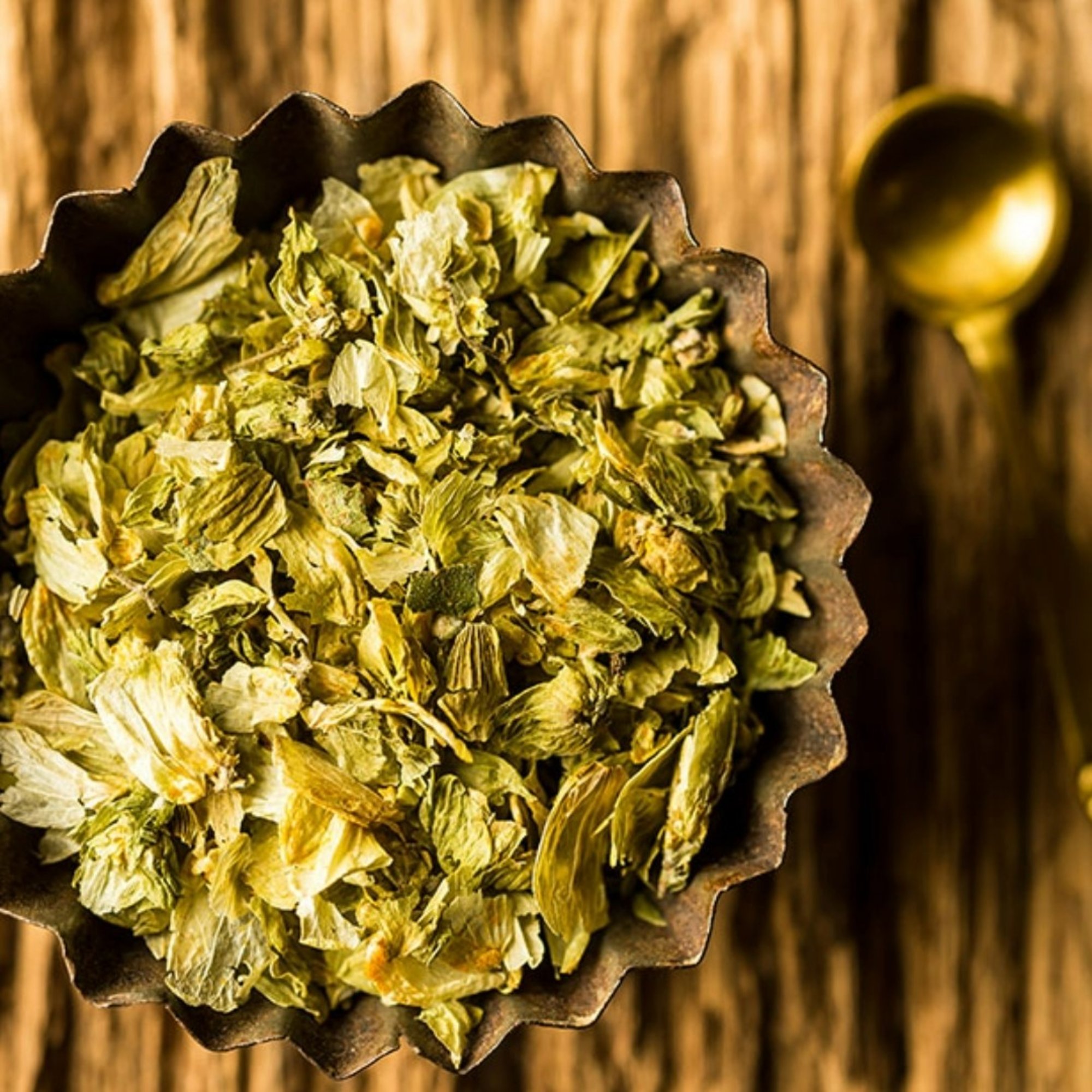 Hopfenblüte geschnitten, 20 g – Kräuterparadies seit 1887