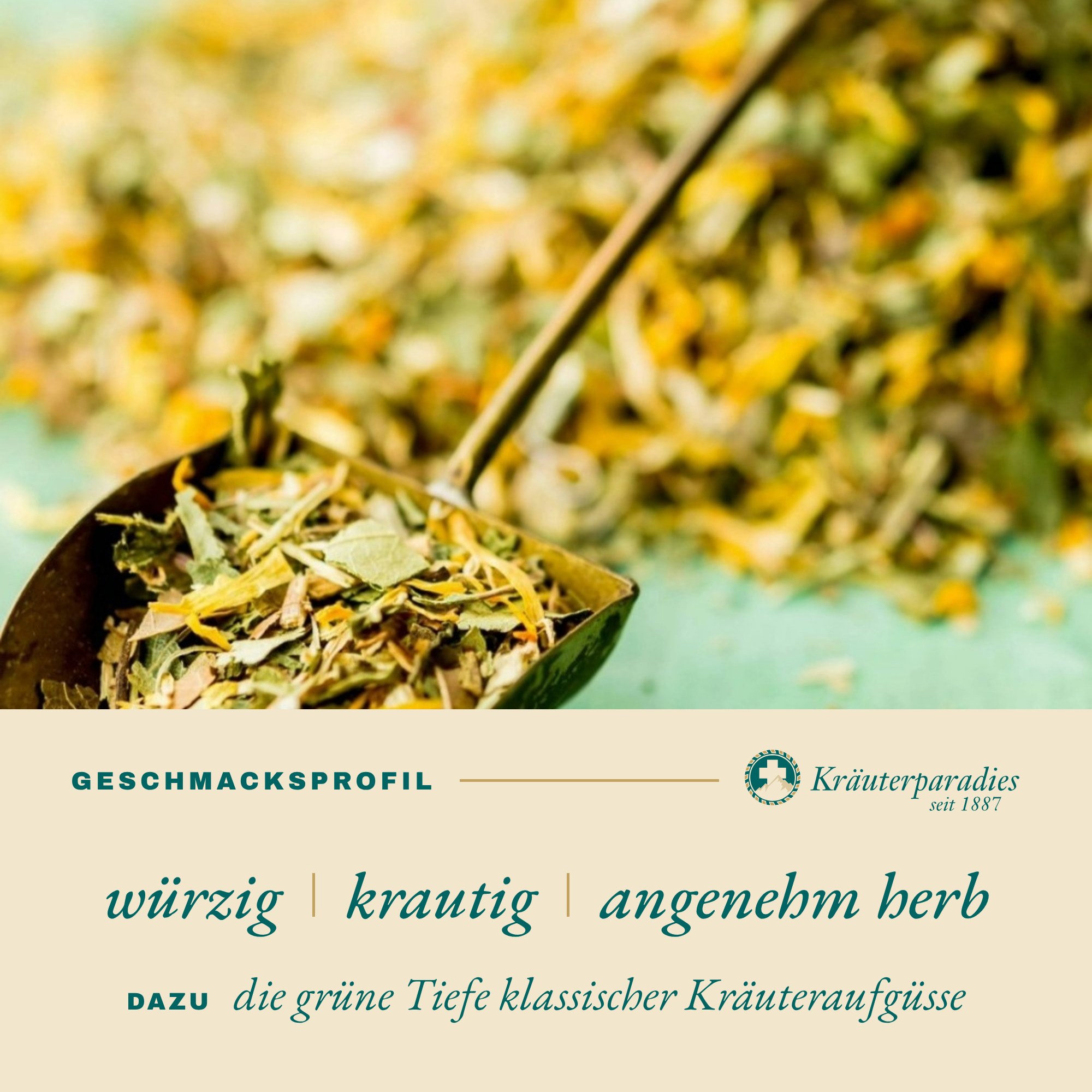7 Kräutertee Geschmacksprofil: würzig, krautig, angenehm herb