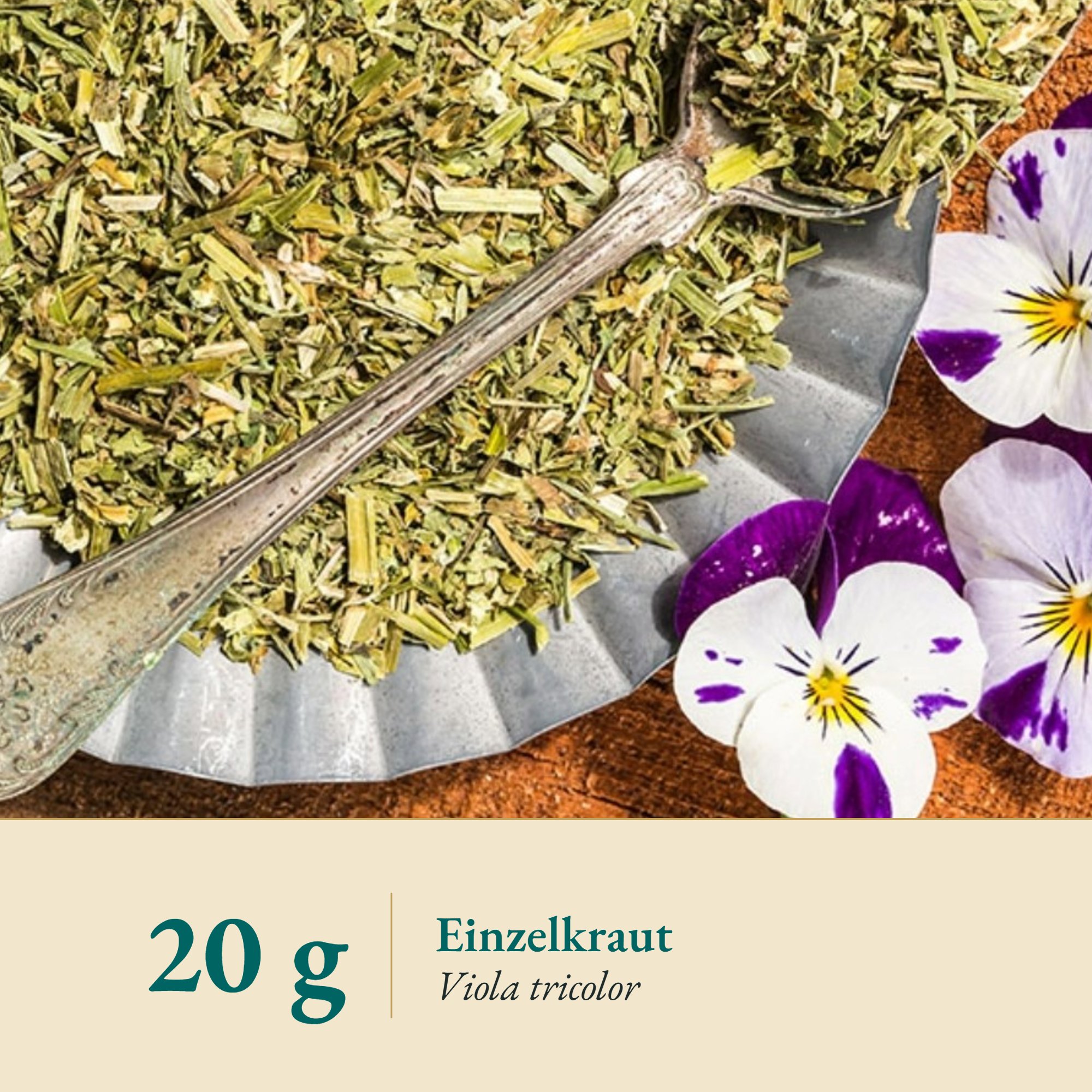 Nahaufnahme Stiefmütterchenkraut – Kräuterparadies seit 1887