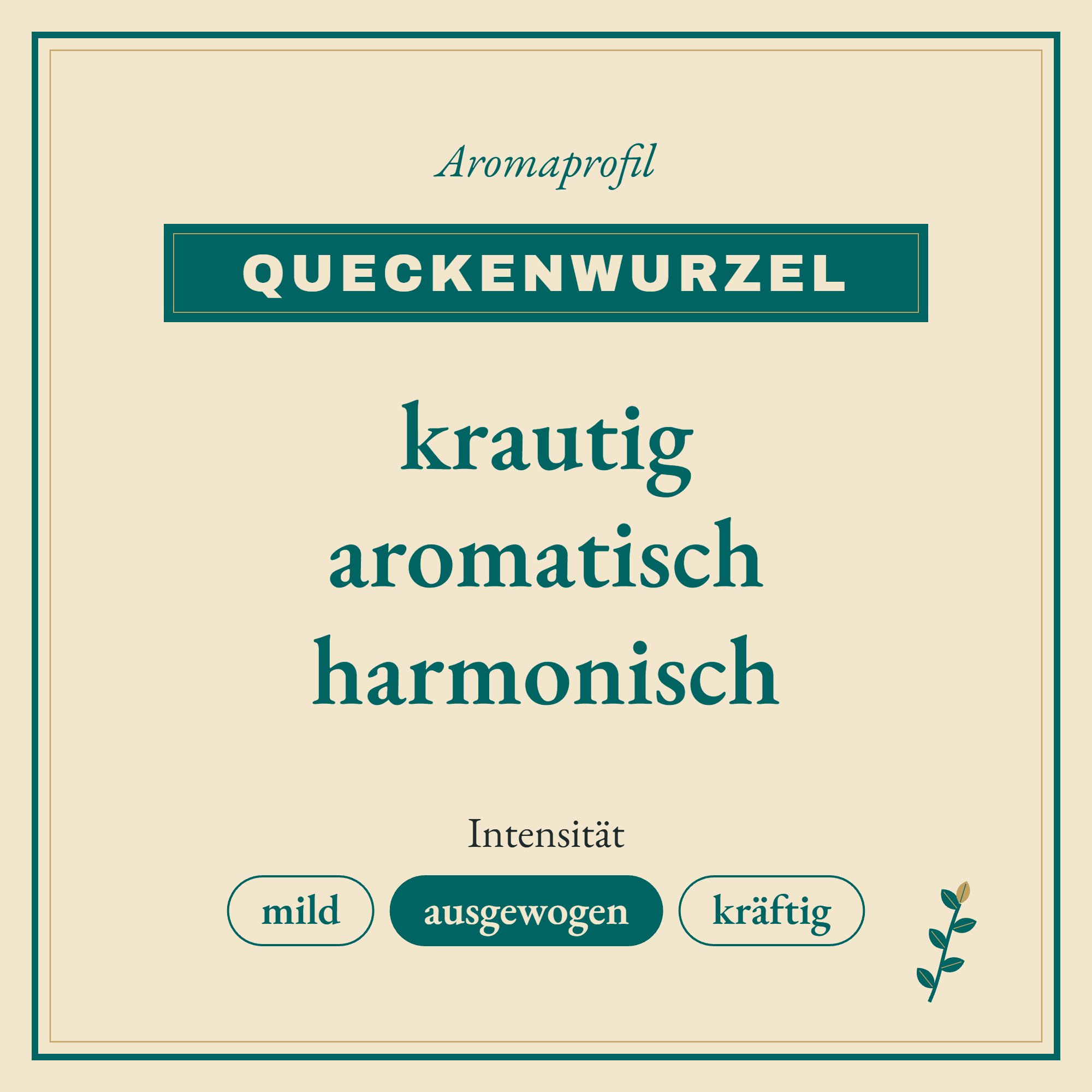 Aromaprofil Queckenwurzel: krautig, aromatisch und harmonisch