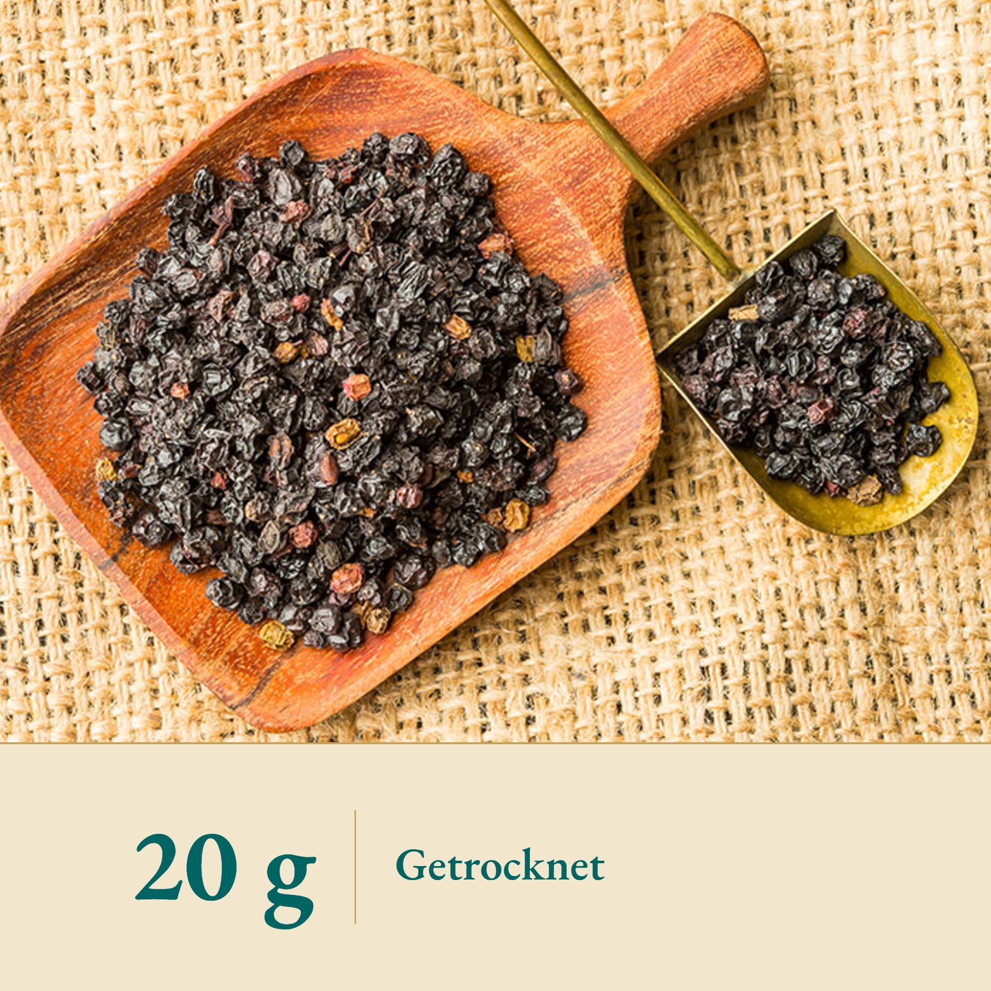 Nahaufnahme Holunder Beeren schwarz – Kräuterparadies seit 1887