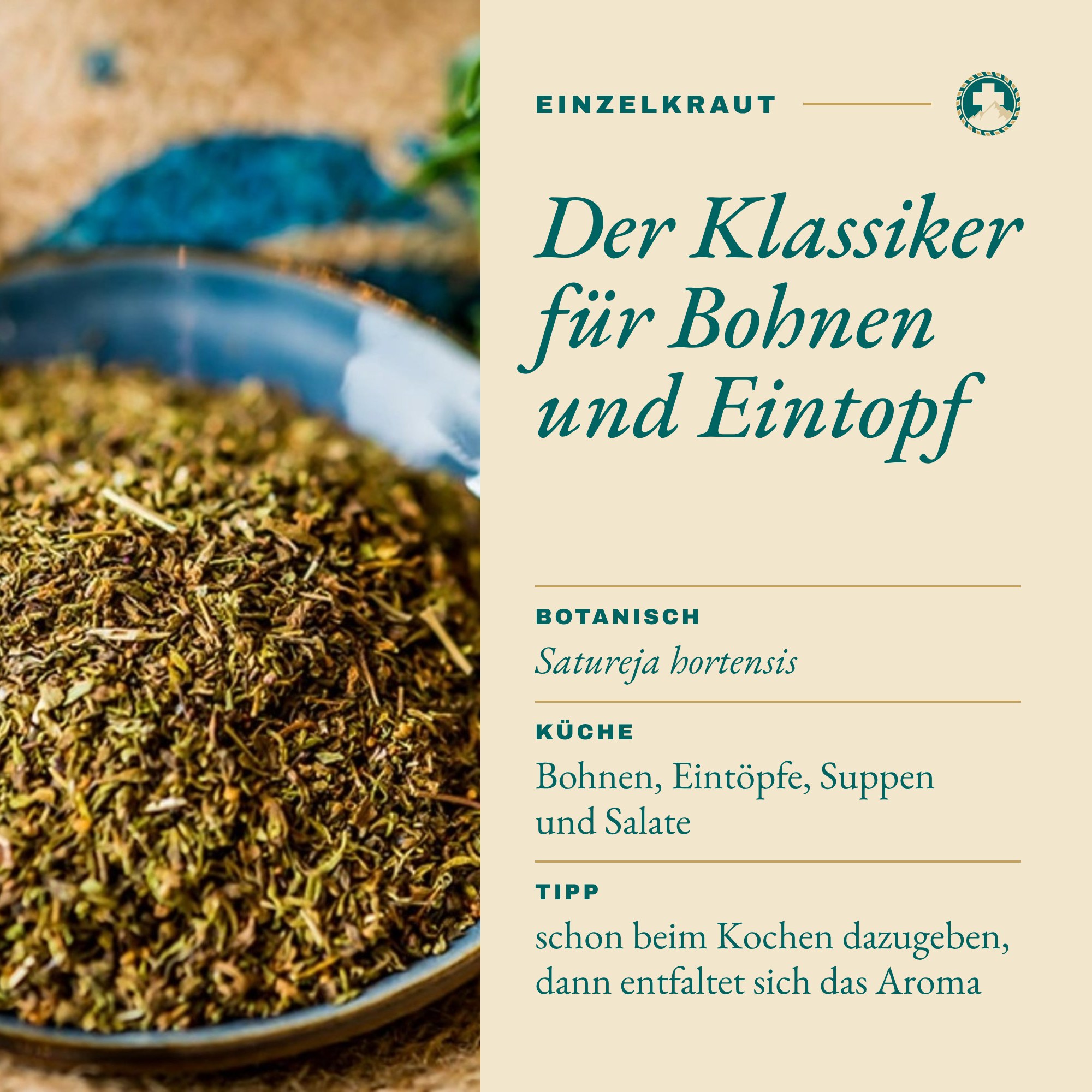 Bohnenkraut: Der Klassiker für Bohnen und Eintopf