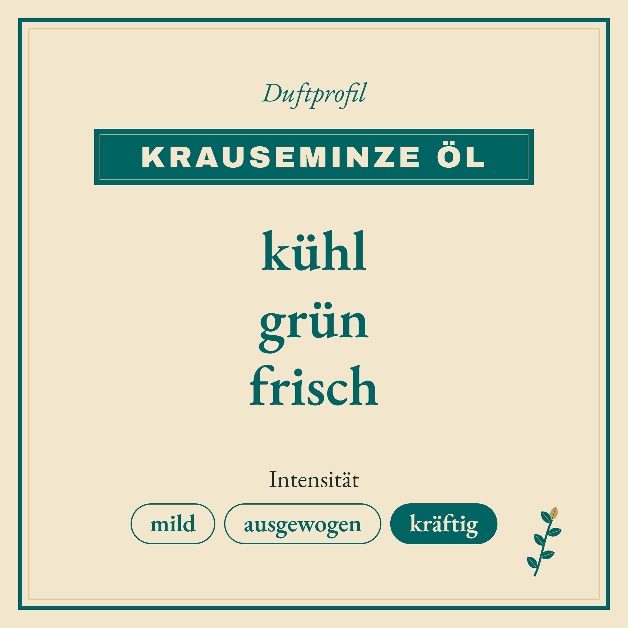 Duftprofil Krauseminze Öl: kühl, grün und frisch