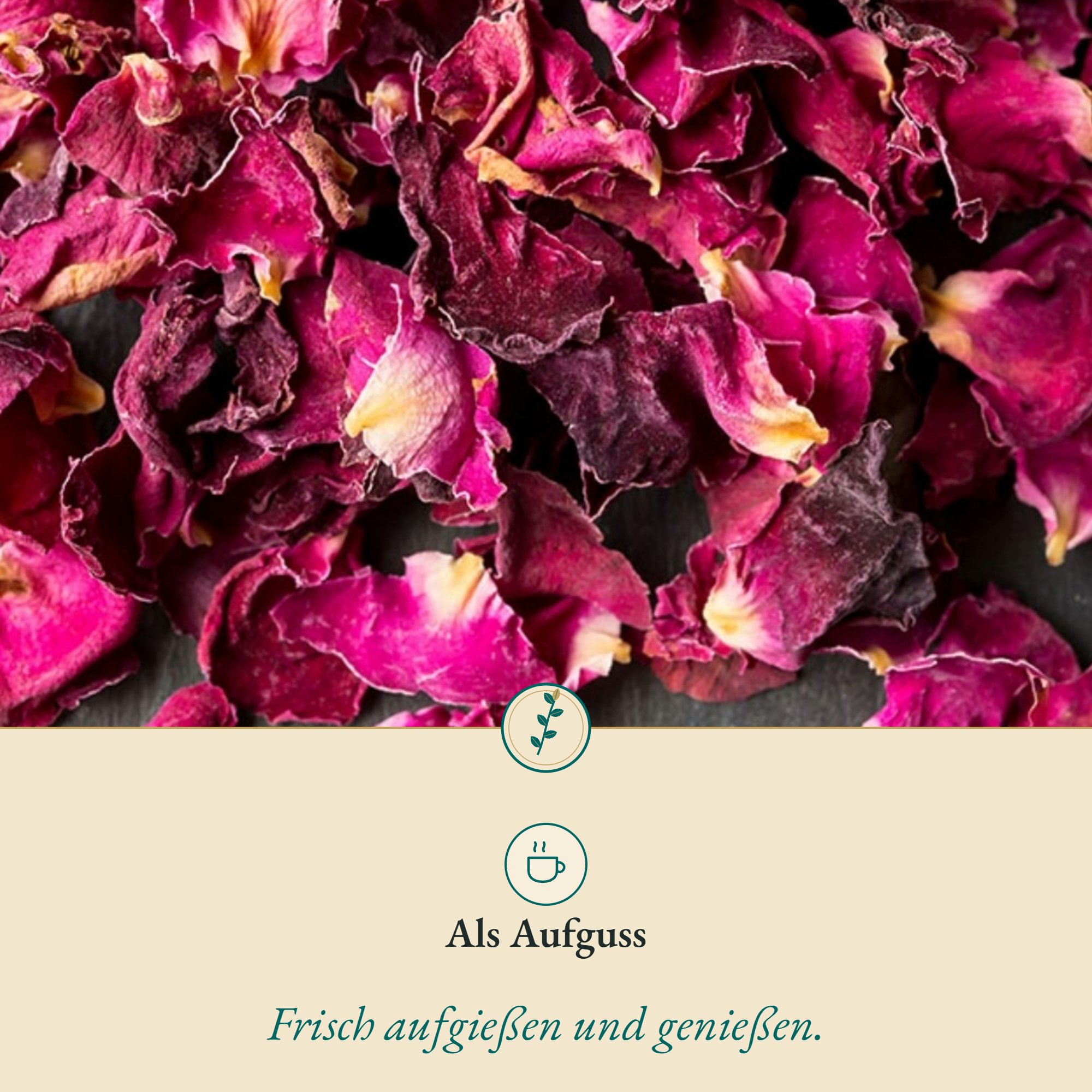 Anwendung Rosenblüten: als Aufguss