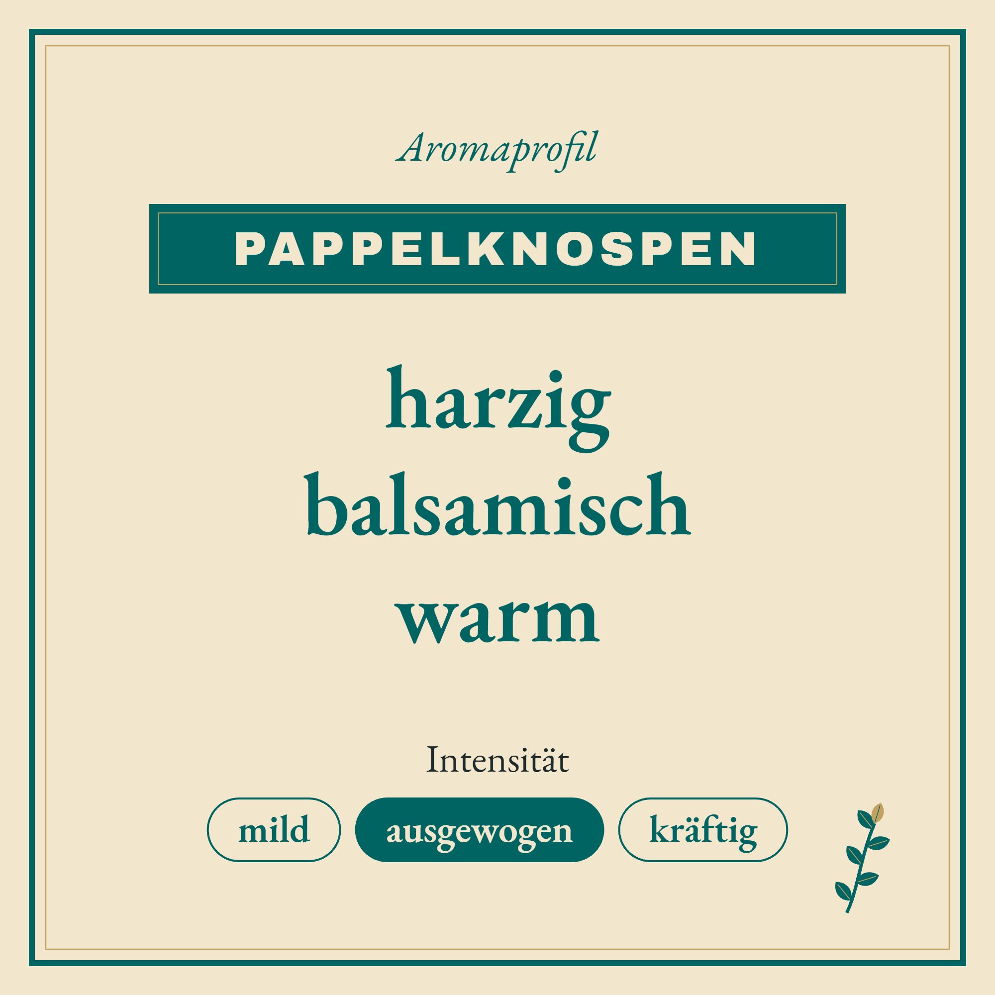Aromaprofil Pappelknospen: harzig, balsamisch und warm