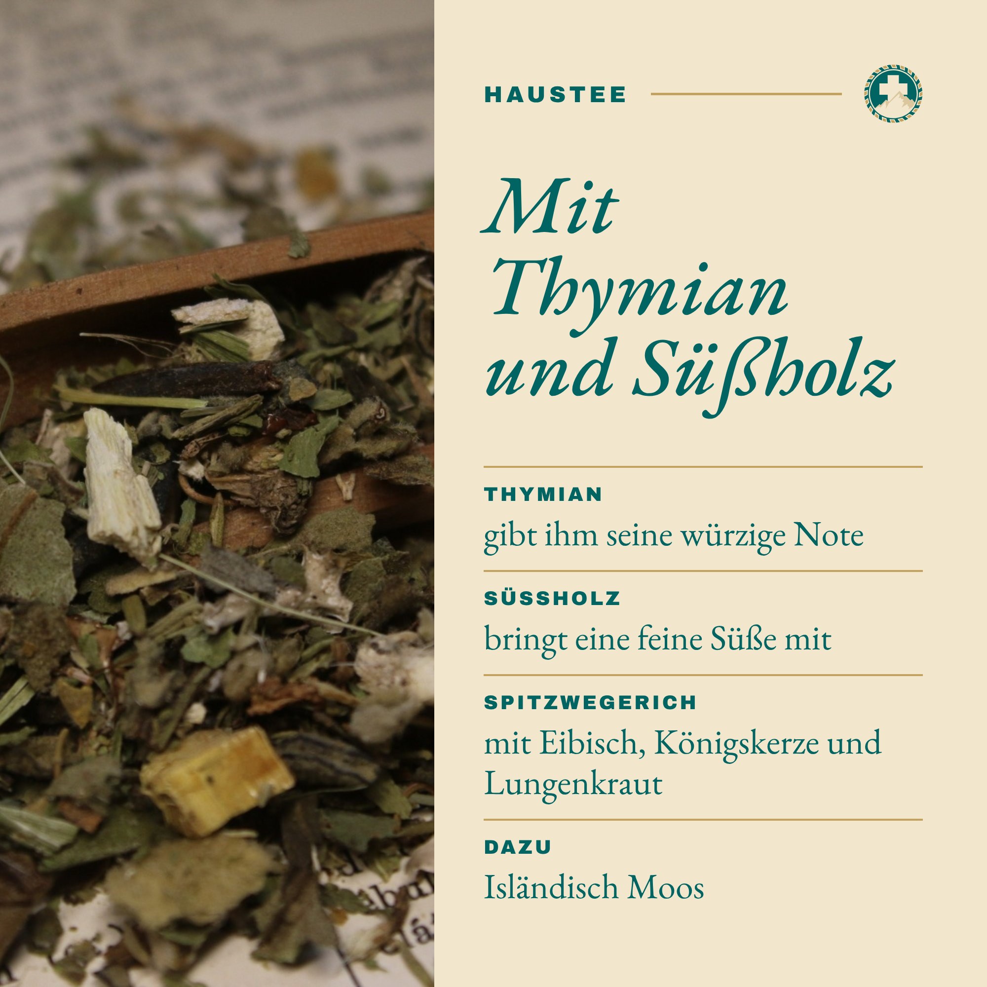 Galoppertee: Mit Thymian und Süßholz