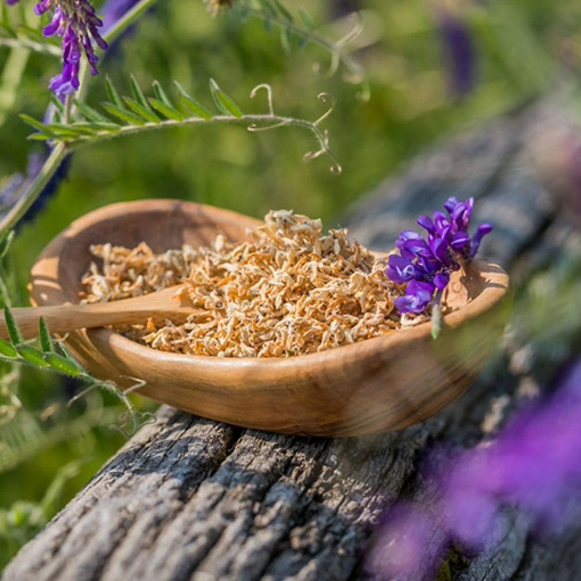 Taubnesselblüte weiß, 20 g – Kräuterparadies seit 1887