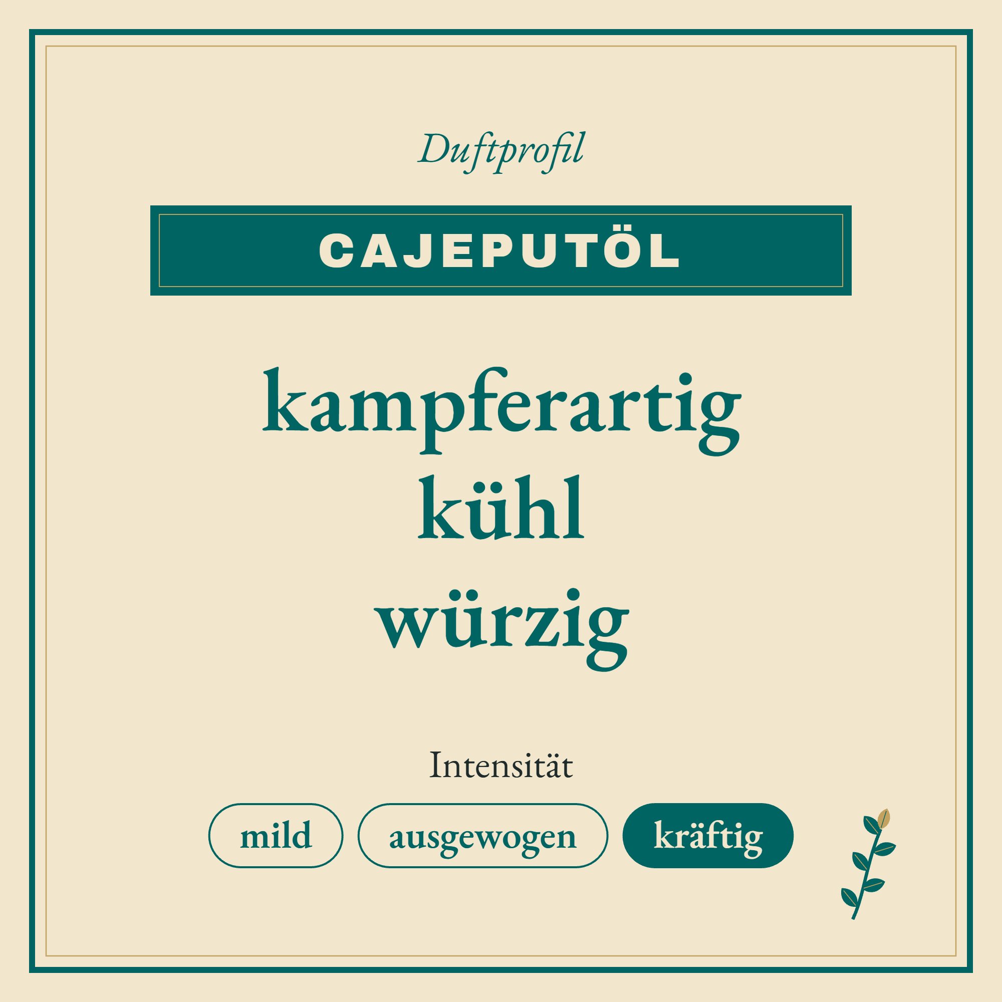 Duftprofil Cajeputöl: kampferartig, kühl und würzig
